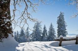 国家(jiā)版(bǎn)本馆數(shù)字(zì)藏品上线