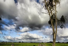 刷视频赚钱能提现吗到微信？支付通道实测，2026年十大可微信提现平台