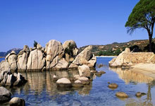 怎么用京东慧采进行获客？开京东慧采还能赚钱？怎么开京东慧采？