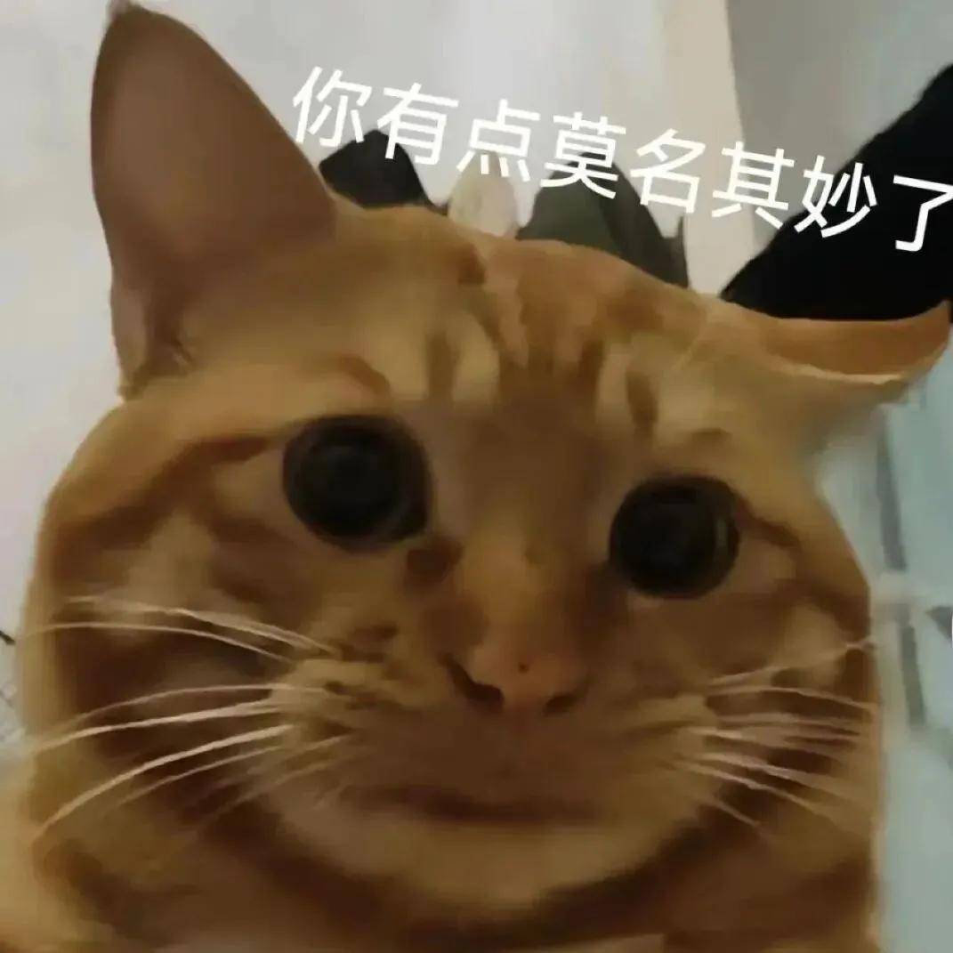 骑行中自动落锁竟因一码多车违投,共享单车为赚钱将用户生命当儿戏?