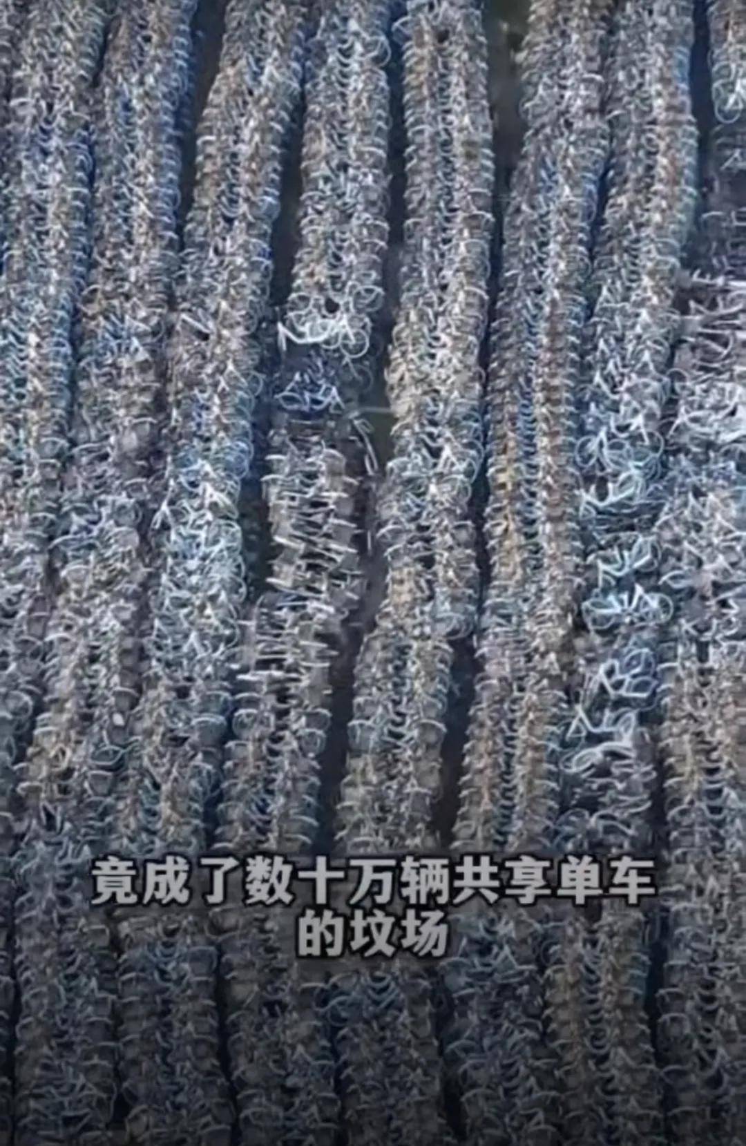 骑行中自动落锁竟因一码多车违投,共享单车为赚钱将用户生命当儿戏?