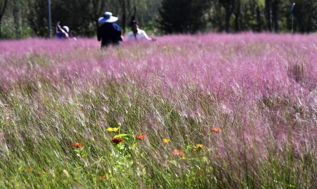 时评:“北京模式”让绿水青山变现生金