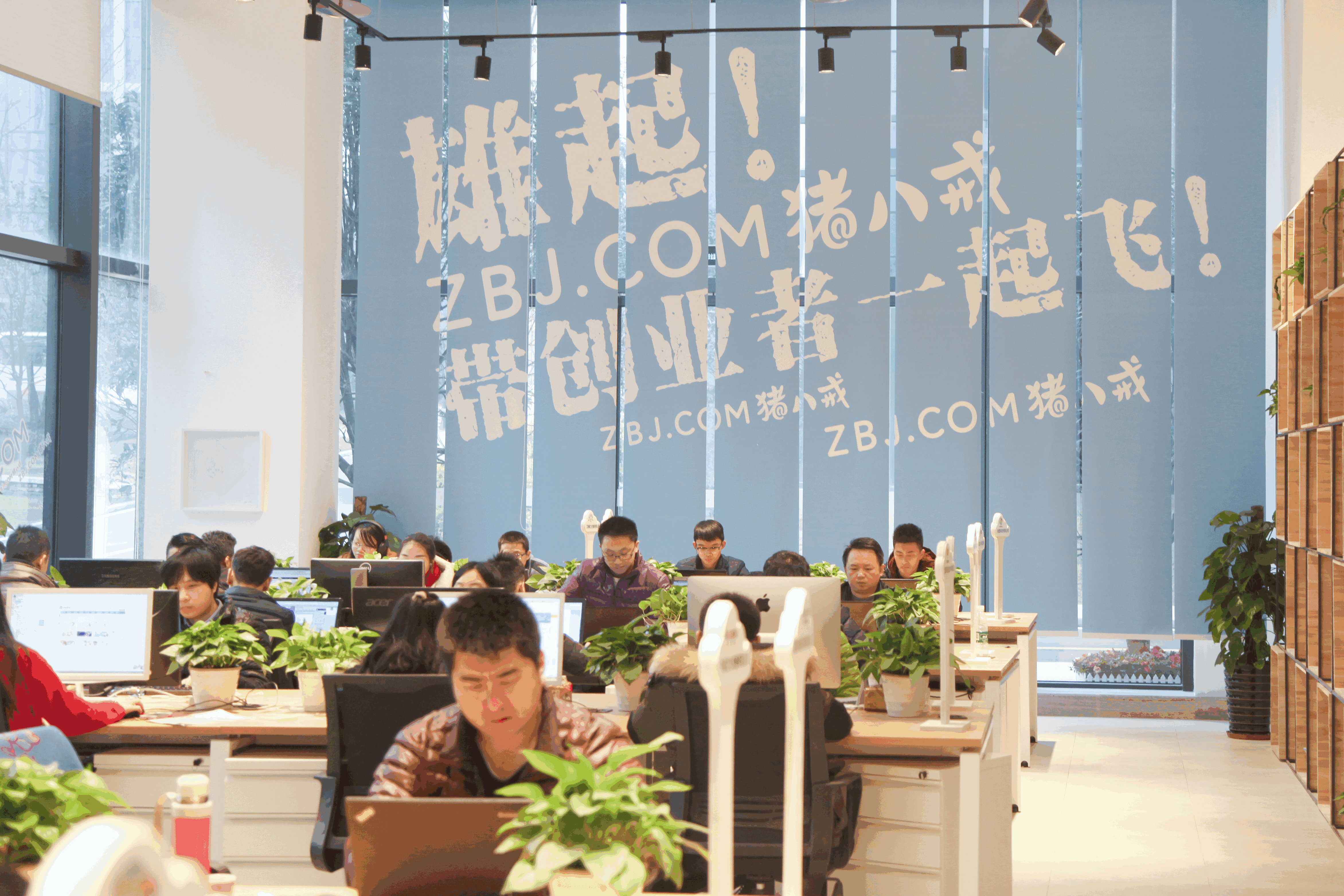 探秘猪八戒网：业务、安全与售后解析