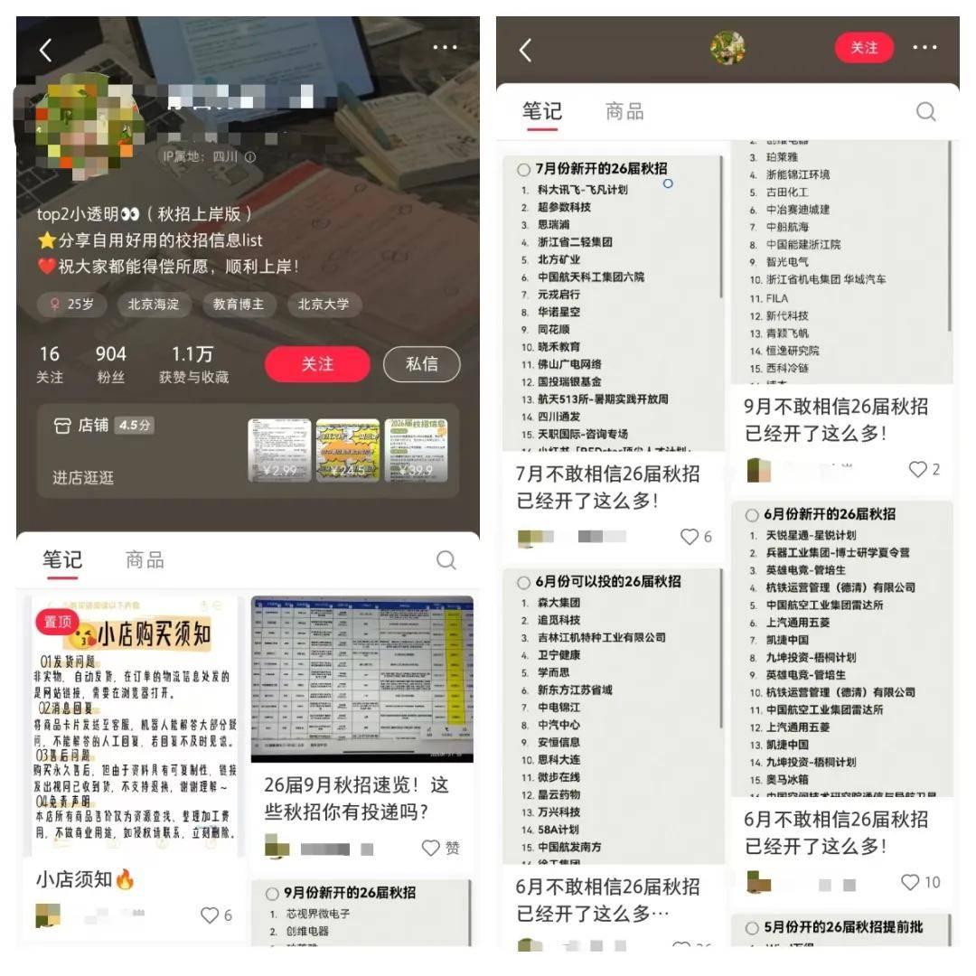 虚拟资料赚钱项目：靠整理招聘信息这个虚拟项目总收入达到160000